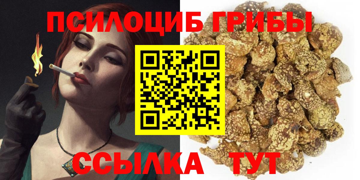 Раменское  Псилоцибиновые грибы прущие грибы  Галлюциногенные грибы Psilocybine cubensis  Вход с VPN 