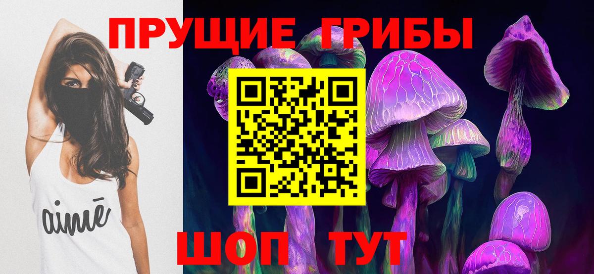 Галлюциногенные грибы Psilocybe Раменское